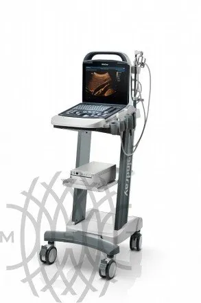УЗИ аппарат Mindray DP-10 Vet ветеринарный портативный