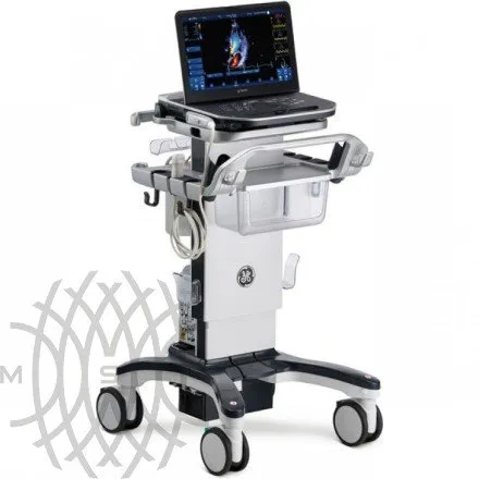 Ультразвуковая диагностическая система GE HealthCare Vivid iQ портативная