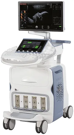 УЗИ аппарат GE HealthCare Voluson E8 
