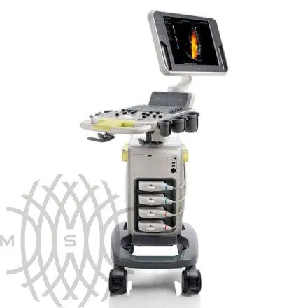 УЗИ аппарат Mindray DC-N3 Vet портативный ветеринарный 