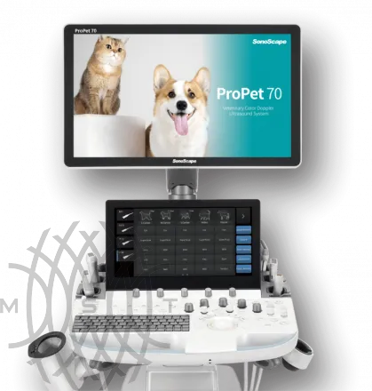 УЗИ аппарат SonoScape ProPet 70